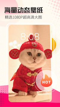 开云网页app截图